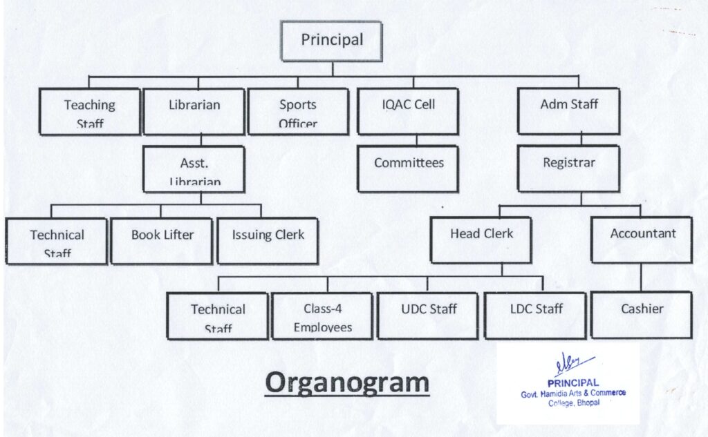 Organogram